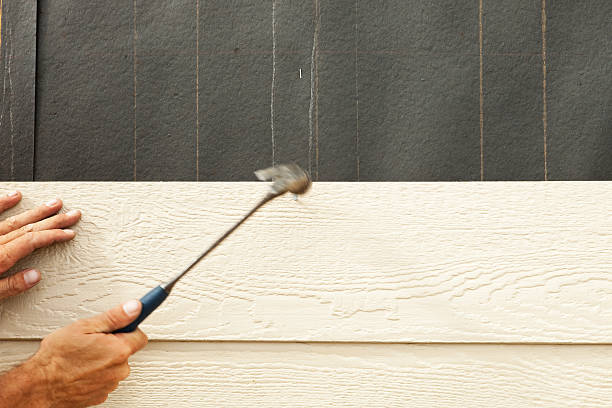 Affordable Siding Repair and Maintenance Services in Brocton, NY